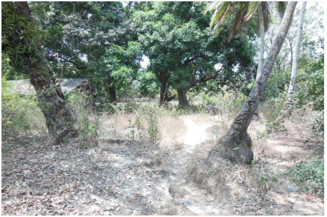 Plot for Sale in Benaulim