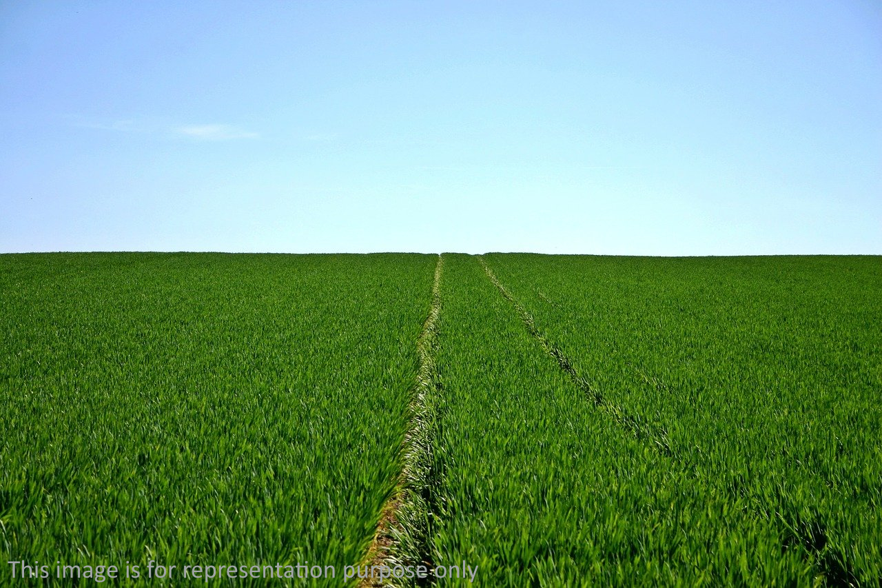 Plot for Sale in Anjuna